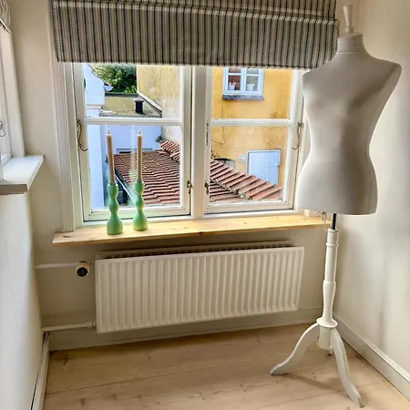 Semesterbostad Historical Townhouse *